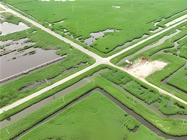 打造綠(lǜ)色低碳油田 做(zuo)綠色發展的“頂(dǐng)梁柱”